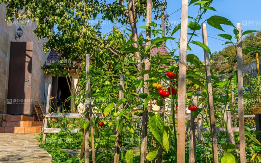 Дом с ремонтом и взрослым садом в Сочи